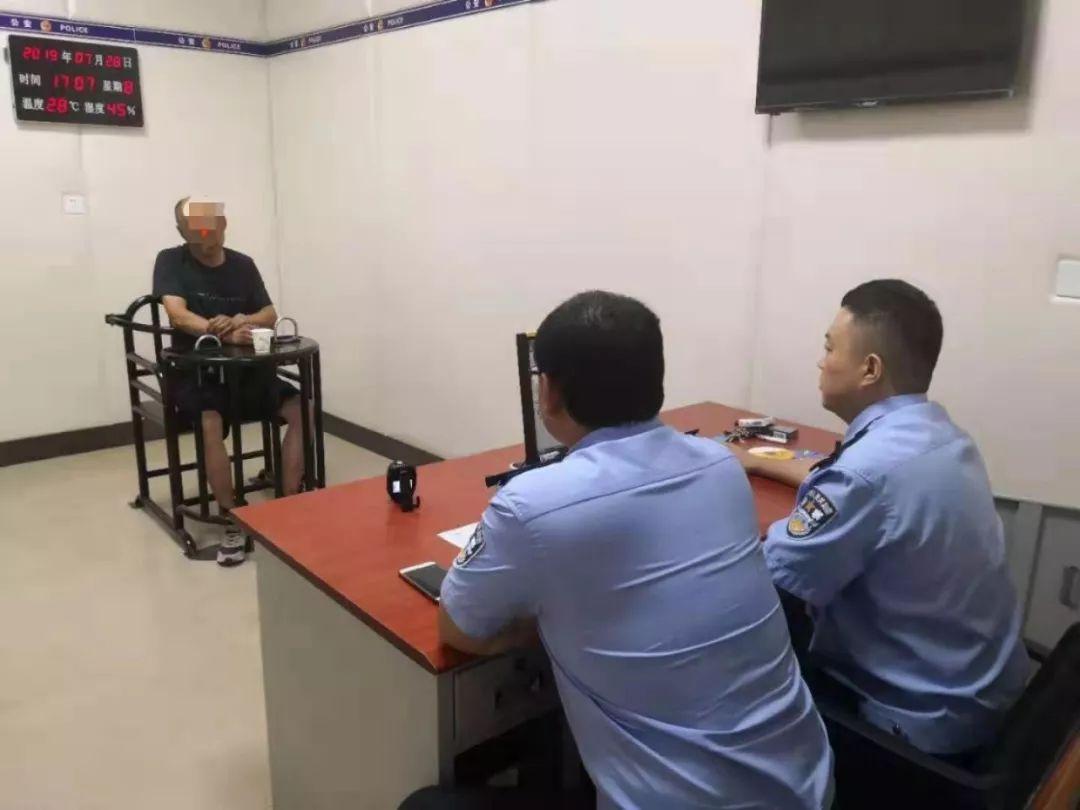 长春廉租房最新动态，政策分析与影响观察