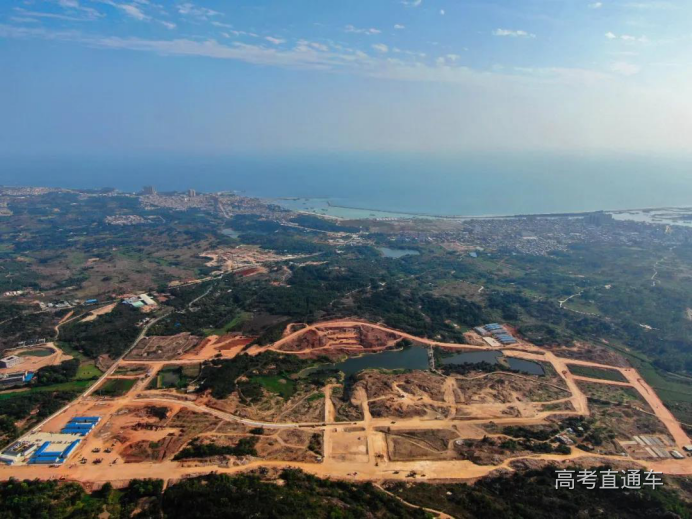 揭阳最新文件揭秘，小巷深处的独特风味探索