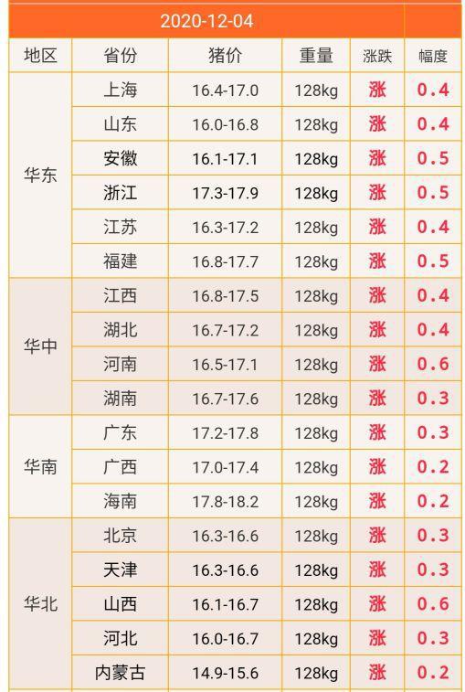 今日猪价行情及获取理解步骤指南