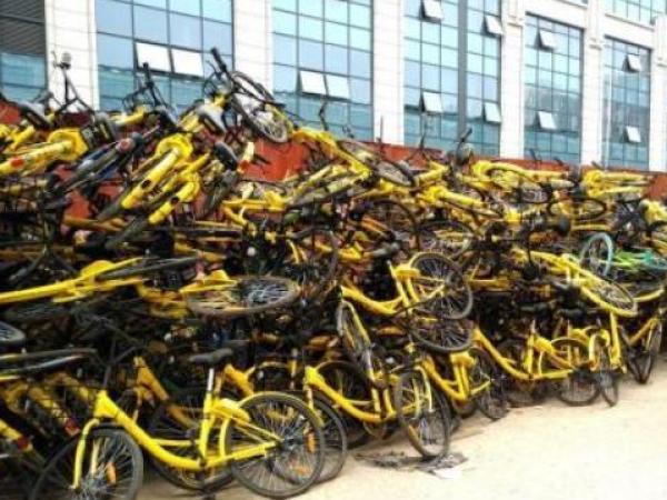 迪卡侬自然之旅，探寻内心的宁静与欢笑新闻发布
