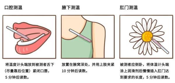 最新款体温枪，技术革新下的健康守护与挑战解析