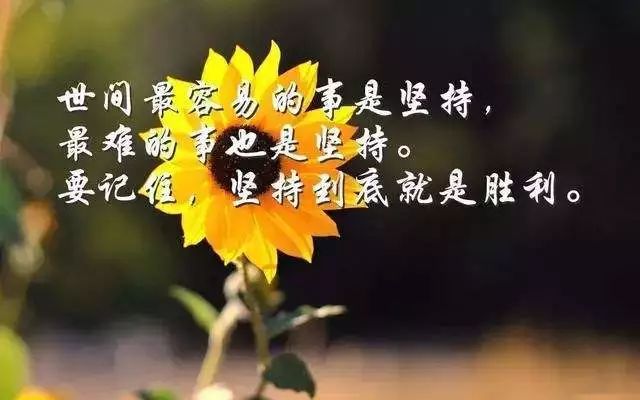 早安朋友圈最新，阳光日常的小确幸