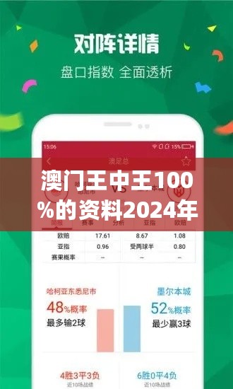 2024年新澳门王中王免费,持续改进策略_手游版65.608