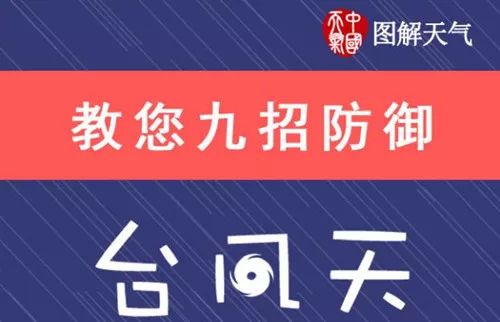 2024正版今晚开特马,实地验证实施_环保版3.406