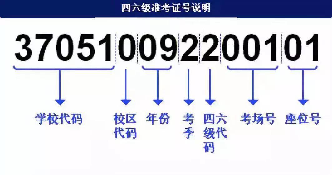 新奥精准资料免费大仝,快速问题处理_传递版67.395