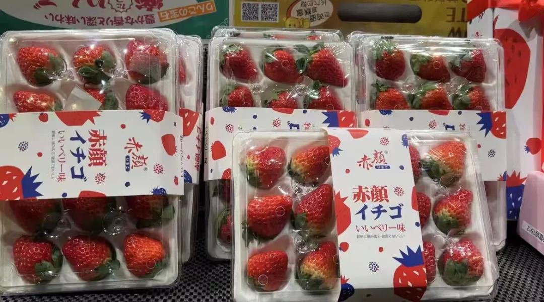 小巷独特风味小店惊艳上市，新发现特色美食上市！