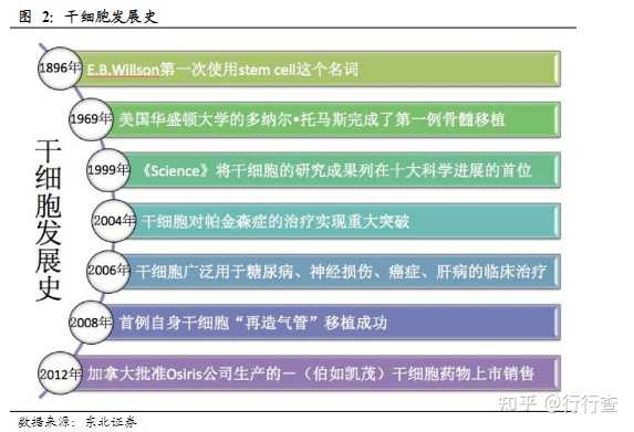 探索心灵宁静之旅，干细胞生发技术是否已经上市？