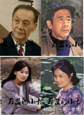 蹉跎岁月演员表回顾，熟悉面庞与难忘演技的汇聚