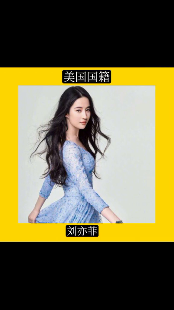 中国明星网使用指南，任务与技能学习全攻略