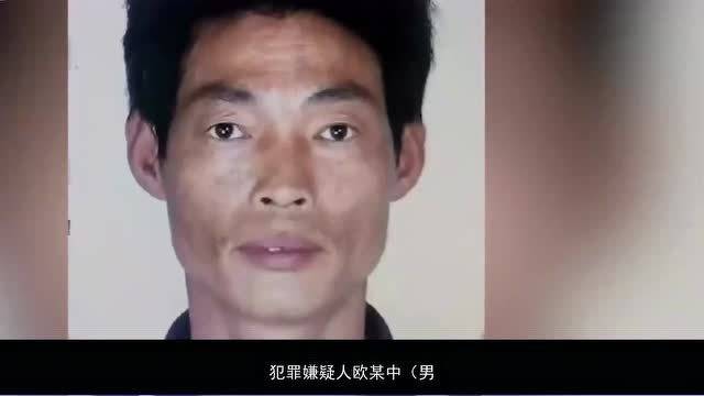 莆田事件背后的爱与陪伴力量，日常温馨与悲剧反思