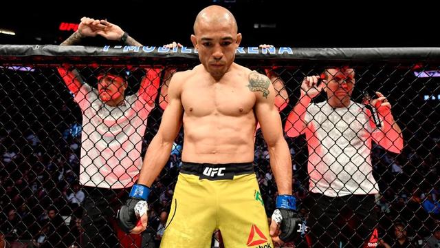 龙斗UFC最新篇章观点论述解析