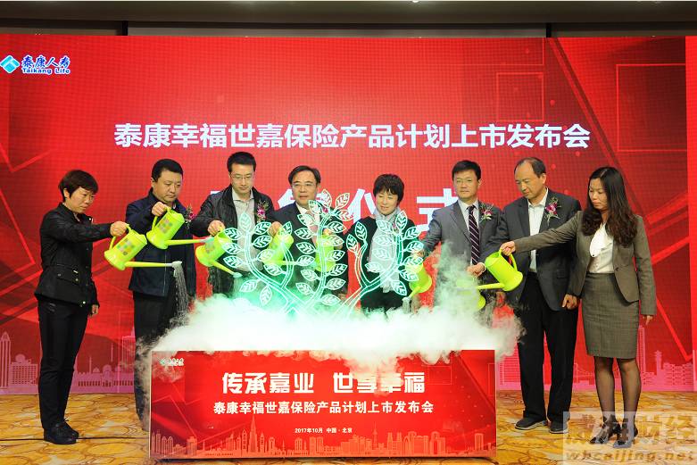 泰康集团上市指南，从初学者到进阶用户的步骤详解