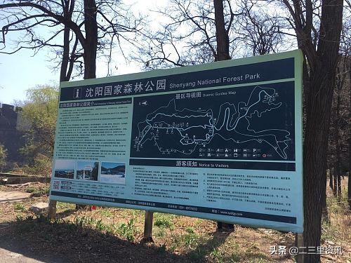 沈阳飞速发展新动态，带你领略城市最新风采🚀