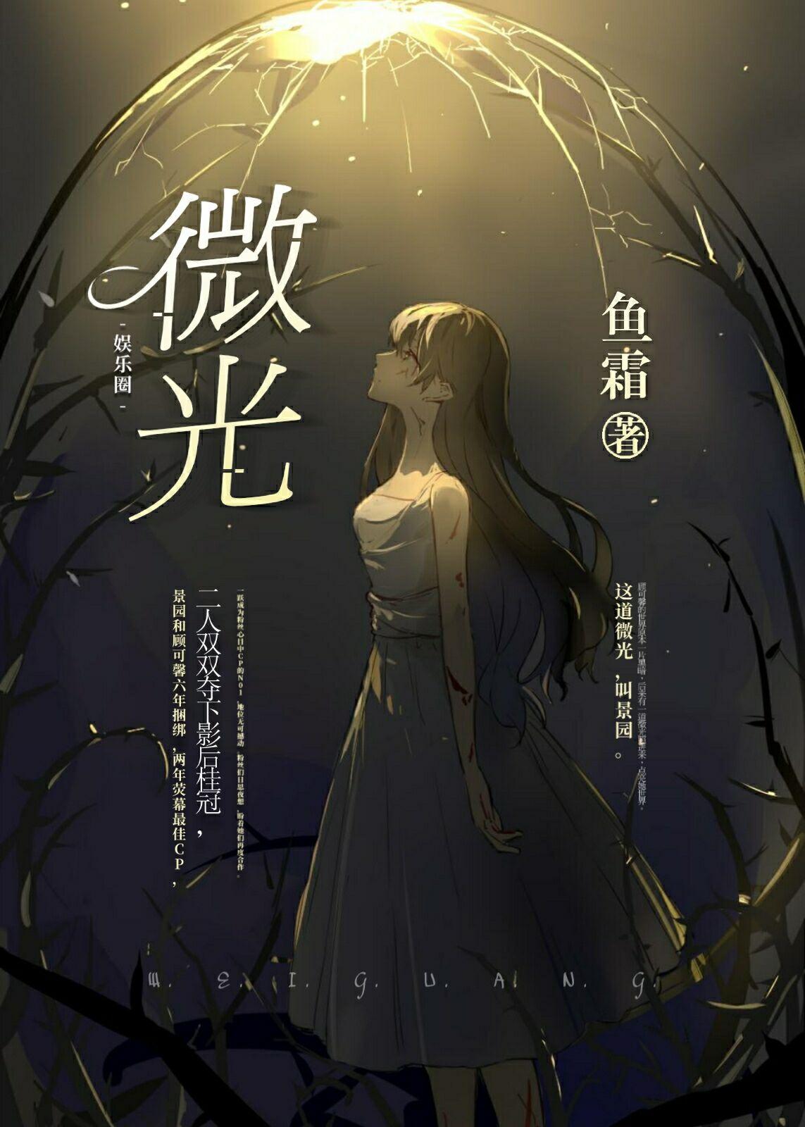夜蔓最新小说时光之旅，穿越时空的浪漫之旅