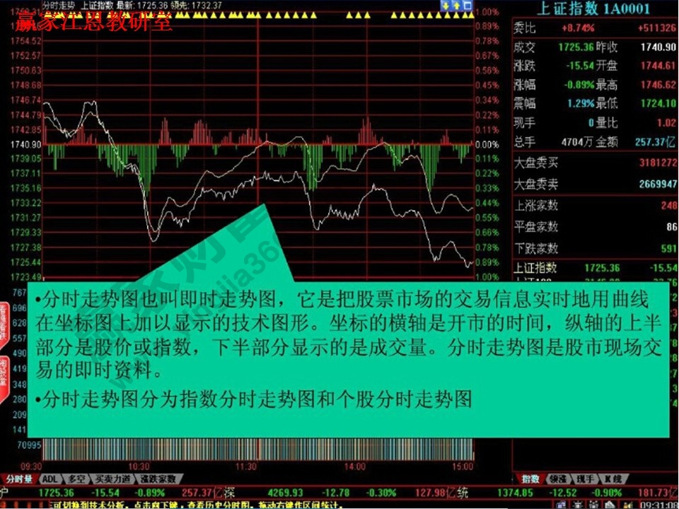 小杨的股市日常，股票看盘技巧与友情岁月探索