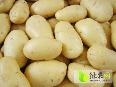 山东土豆价格实时动态更新🍠