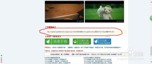 Xiaav最新网址，科技潮流引领者，重塑生活体验新标杆