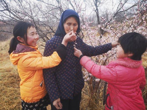北京最新传菜员招聘启事，与美食美景共舞的人生之旅