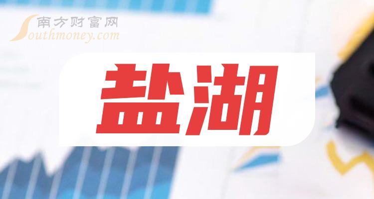 盐湖股份最新动态，心灵之旅探寻自然宁静与美丽