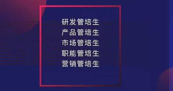 最新丙二大管轮招聘，详细步骤指南与招聘须知
